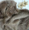 Bianna Hazelnut Brown Faux Fur Fabric, 60 inches Wide Options, American Seller, Luxury Shag Shaggy Material for Crafting, Sewing, Costumes, Fursui...