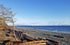 Flaky Sea Salt - 8.8 oz of Large Flake Salt - Hand Harvested on Vancouver Island - Perfect for Seasoning, Baking, Cooking, and Finishing - All Nat...