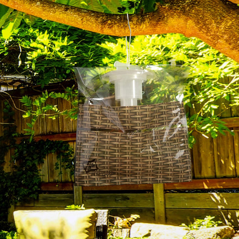 Black Flag Disposable Fly Trap, Attracts All Major Fly Species...