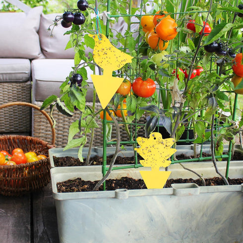 48 Pcs Yellow Sticky Traps for Gnats, Fruit Fly Traps for House Indoors, Fungus Gnat Sticky Traps for Plants, Incest Catcher for Whiteflies Mosqui...