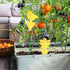 48 Pcs Yellow Sticky Traps for Gnats, Fruit Fly Traps for House Indoors, Fungus Gnat Sticky Traps for Plants, Incest Catcher for Whiteflies Mosqui...