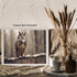 Posterizer 1 pcs- Beautiful owl sitting on a tree in the jungle-Art for Animal Lovers-Landscape & Nature Art- Gift for Men Women Teens-Living Roo...