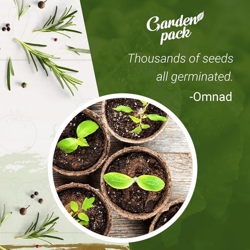 Grow Your Own Herbs Garden Kit - 12 Herb Seeds Variety Pack - Basil Seeds, Mint Seeds, Rosemary Seeds, Oregano Seeds, Parsley Seeds & More Packets...