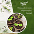 Grow Your Own Herbs Garden Kit - 12 Herb Seeds Variety Pack - Basil Seeds, Mint Seeds, Rosemary Seeds, Oregano Seeds, Parsley Seeds & More Packets...