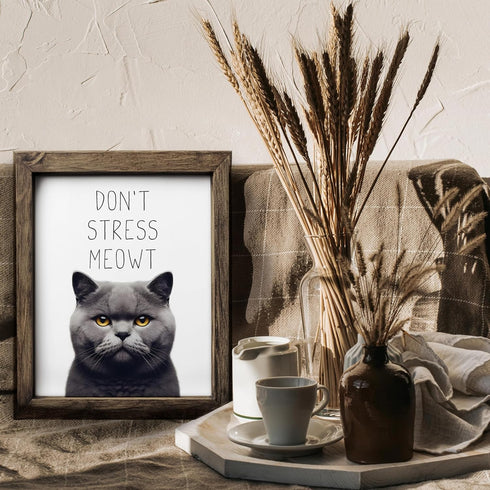 Posterizer 1 pcs-Don’t Stress Meowt-Funny Art for cat lovers-Comedy Art-Art for Animal Lovers-Decor for Home & Office- UNFRAMED Wall Art...