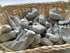GRAY Clay chunks edible natural for eating, 8 oz (220 g)...