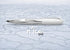 Faber Castell 149505"N'Ice" Ballpoint Pen - White...