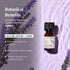 AROMAFUME Lavender Essential Oil - 100% Natural, Therapeutic Grade Essential Oil - Pure, Calming Aromatherapy Oil for Diffusers, and to Aid Sleep ...