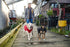 RC Pets 1" x 6 ft Dog Leash, Bones...