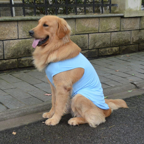 2018 Pet Clothes Dog Clothing Blank T-shirt Tanks Top Vests for Small Middle Large Size Dogs 100% Cotton Dog Summer Vest Classic (XS, Light-blue)...