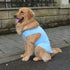 2018 Pet Clothes Dog Clothing Blank T-shirt Tanks Top Vests for Small Middle Large Size Dogs 100% Cotton Dog Summer Vest Classic (XS, Light-blue)...