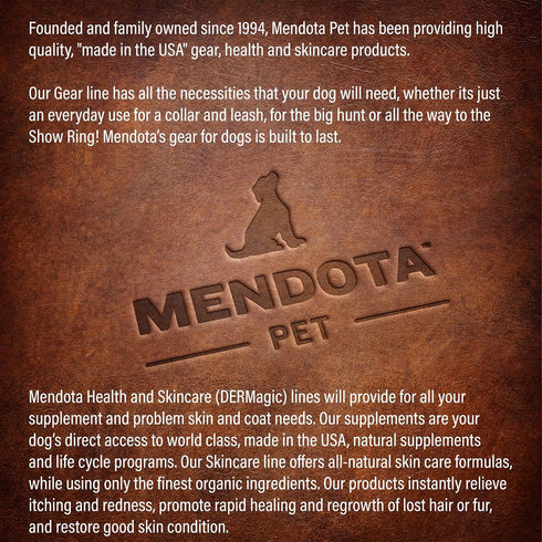 Mendota Pet Slip Leash - Dog Lead and Collar Combo - Made in The USA - Sunset, 1/2 in x 4 ft - for Large Breeds...
