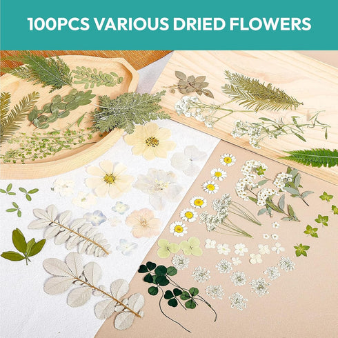 Resiners 100Pcs Dried Pressed Flowers for Resin Molds, White Real Natural Dried Flowers Dry Leaves kit for Wedding Scrapbook Supplies Card Making ...