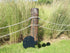 Hedgehhog Decorative Garden Stakes Metal Garden Statues Small Cute Silhouette Stake for Yard Outdoor Garden Lawn Decoration, Set of 4...