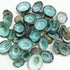 PEPPERLONELY 50PC Green Limpet Shells Craft Sea Shells, 1/2 Inch ~ 1 Inch...