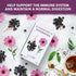 Nutra Tea - Elderberry & Echinacea Tea | Elderberry Tea - Immunity Tea | Immune Tea - 40 Tea Bags - Herbal Tea - (2 Pack)...