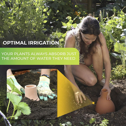Redify Hydro Max M Watering Vessel, Brown, Medium...