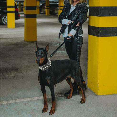 teemerryca Sturdy Wide Black PU Leather Silver Spiked Dog Collars with a Squeak Ball for Medium Large Breed Boy Pet, Pit bulls/Bulldog/Boxer/Dober...