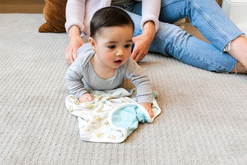 Copper Pearl Baby Security Blanket Set of 2 - Portable Size for Self-Soothing On-The-Go, Ideal Baby Blankets for Boys and Girls, Ultra-Soft, and G...
