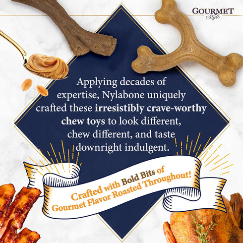 Nylabone Gourmet Style Strong Chew Wishbone Dog Chew Toy, Bacon Flavor, Small/Regular (1 Count)...