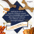 Nylabone Gourmet Style Strong Chew Wishbone Dog Chew Toy, Bacon Flavor, Small/Regular (1 Count)...