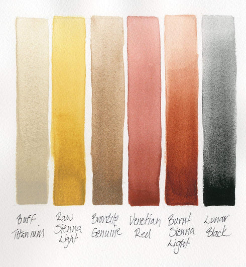 Daniel Smith Hand Poured Watercolor, Half Pans, Earth Set with 6 Watercolor Half Pans, 9 Empty Half Pans, 1 Plastic Travel Case (Total 16 Pieces) ...