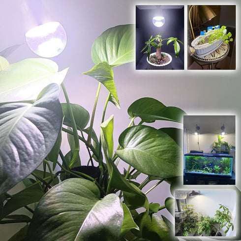Grow Light Bulbs for Indoor Plants Full Spectrum E26 A19 10W,Grow LED Light Bulb with Balanced Spectrum 5000K-Blue-Red for Seeds Greens Laboratory...