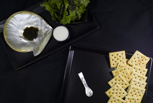Hand craft Mother of pearl caviar spoon (1 QTY, 3 Inches)...