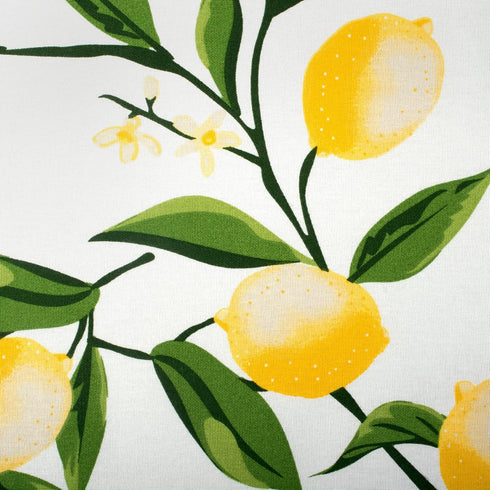 DII Lemon Bliss Tabletop Collection, Napkin Set, 6 Piece...