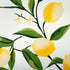 DII Lemon Bliss Tabletop Collection, Napkin Set, 6 Piece...