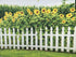 Leyiyi Spring Natural Scenery Backdrop 5x3ft Photography Backdrop Blossoming Yellow Sunflowers Tall Lush Tree White Wooden Textured Fence Family C...