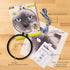 Bucilla Photographic 6" Stamped Embroidery Kit, Cat Eyes, Includes 4-Color Printed Fabric, 6" Hoop, Embroidery Floss, Needle, and Instructions, 49...