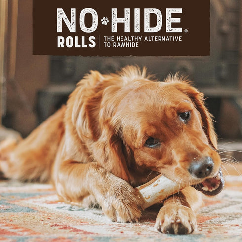 Earth Animal No Hide Medium Venison Flavored Natural Rawhide Free Dog Chews Long Lasting Dog Chew Sticks | Dog Treats for Large Dogs | Great Dog C...