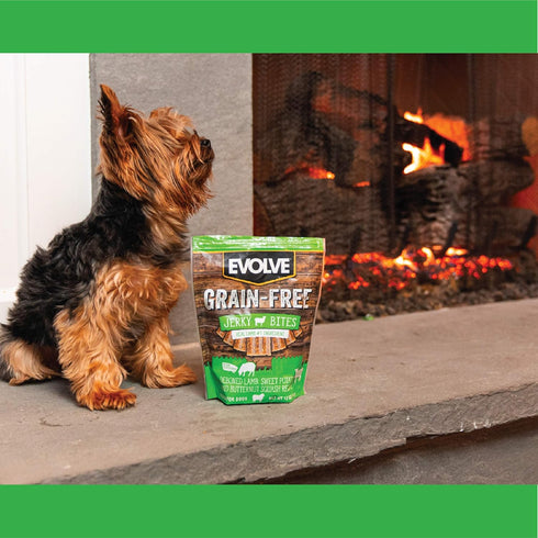 Evolve Grain Free Lamb, Sweet Potato and Butternut Squash Jerky Bites Dog Treats...