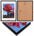 Black 11x14 Picture Frame, Display Pictures 8x10 with Mat or 11x14 Without Mat,Wall Certificate Poster Photo Frame, 1 Pack...