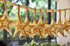 Art & Decoration Fabric, Yellow 24" x 18'...