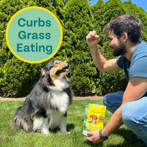 Plant-Based Spirulina Healthy Supplement & Dog Treat (5oz, 2-Pack) | Stop Grass Eating | Hypoallergenic, Chicken-Free Vegan Protein | Made in USA...