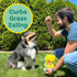 Plant-Based Spirulina Healthy Supplement & Dog Treat (5oz, 2-Pack) | Stop Grass Eating | Hypoallergenic, Chicken-Free Vegan Protein | Made in USA...