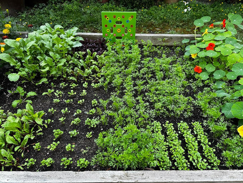Seeding Square - Seed Spacer Tool for Maximum Harvest, Organized Plants & Less Weeds - Square Foot Garden includes Color Coded Templates, Magnetic...