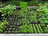 Seeding Square - Seed Spacer Tool for Maximum Harvest, Organized Plants & Less Weeds - Square Foot Garden includes Color Coded Templates, Magnetic...