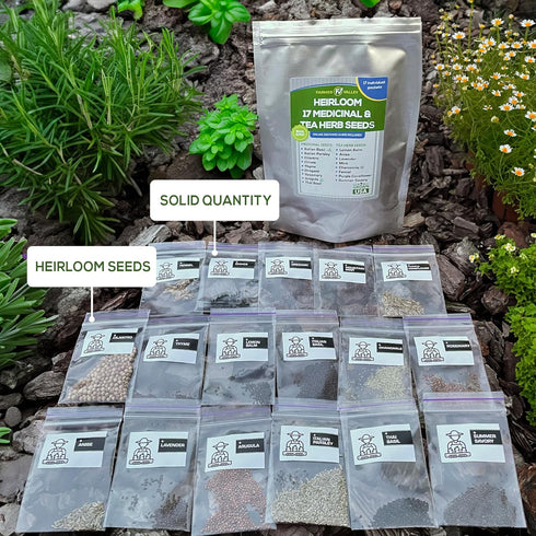 Medicinal and Tea Herb Seeds Collection - Over 4,500 Heirloom and Non GMO Garden Seeds for Planting Indoor, Outdoor & Hydroponic - includes Basil,...