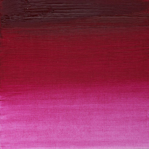 Winsor & Newton Artists' Oil Color, 37ml (1.25 oz) Tube, Permanent Magenta...