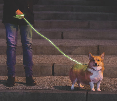 Nitey Leash - LED Glow in The Dark Pet Dog Leash (Green)...