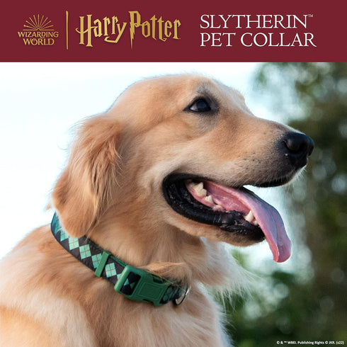 Harry Potter Slytherin Dog Collar in Size Small | Small Dog Collar, Harry Potter Dog Collar | Harry Potter Dog Apparel & Accessories for Hogwarts ...