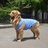Lovelonglong 2019 Summer Pet Clothing, Dog Clothes Blank T-Shirts Ribbed Tanks Top Thread Vests for Large Medium Small Dogs 100% Cotton Powderblue...