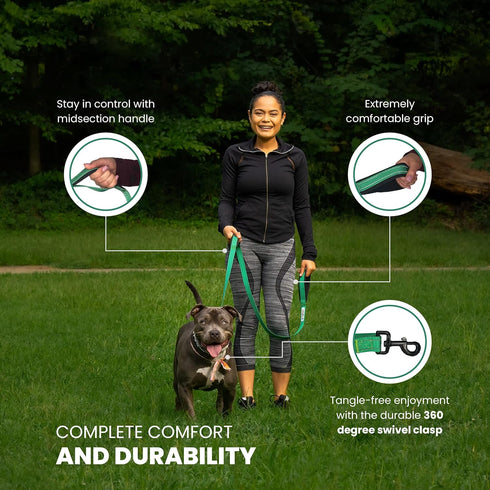 Heavy Duty Dog Leash for Small to Large Dogs - 6 ft Long with Comfortable Padded Larger Double Handles for Training, Walking, Running. Reflective ...