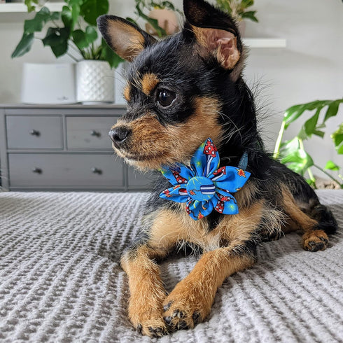 Huxley & Kent Pet Pinwheel | Firecrackers (Large) | 4th of July Velcro Collar Accessory for Dogs/Cats | Bow Collar Attachment | Cute, Comfortable ...