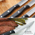 Farberware Full-Tang Triple-Riveted 8-Piece Steak Knife Set, High-Carbon Stainless Steel, Razor-Sharp Knives with Ergonomic Handle, Kitchen Knives...