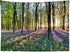 HVEST Forest Sunshine Tapestry Wall Hanging Spring Purple Lavender Morning Sunlight Through Green Trees Tapestry Nature Landscape Tapestry for Liv...
