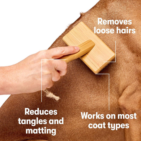 DOG by Dr Lisa - Slicker Brush - Short Bristle Brush for Dogs - For Most Dog Coats - Made from Sustainable Bamboo - Vet-Created - Large...